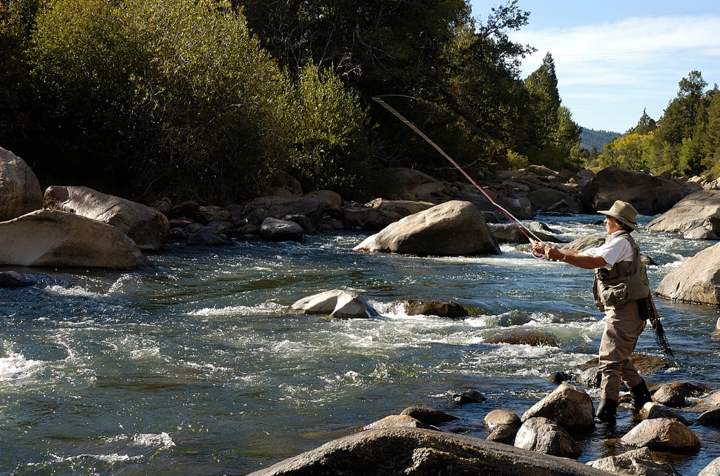 Fly Fishing Buena Vista – An Angler’s Guide