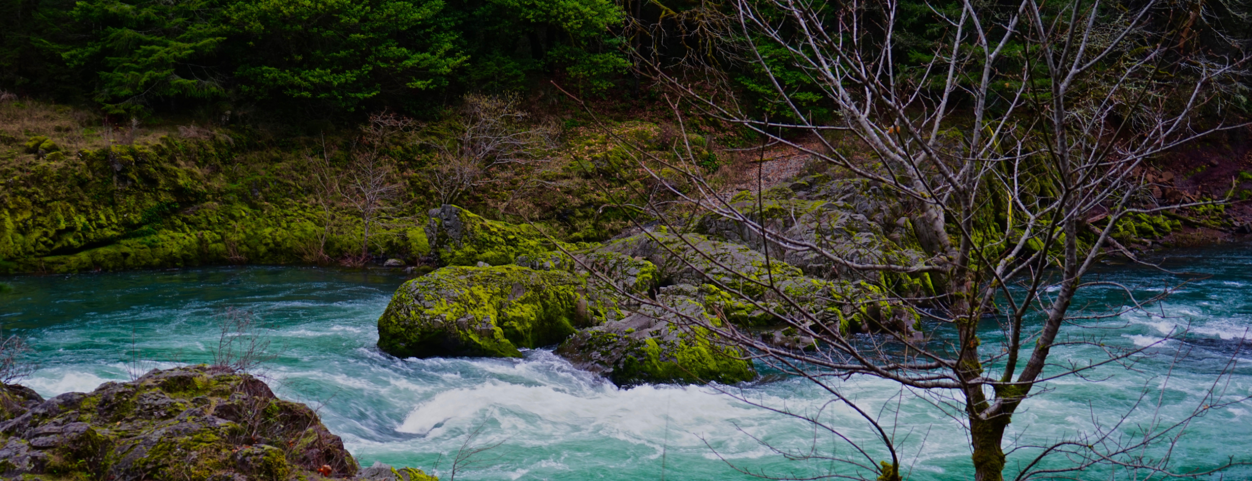fly fishing in Oregon